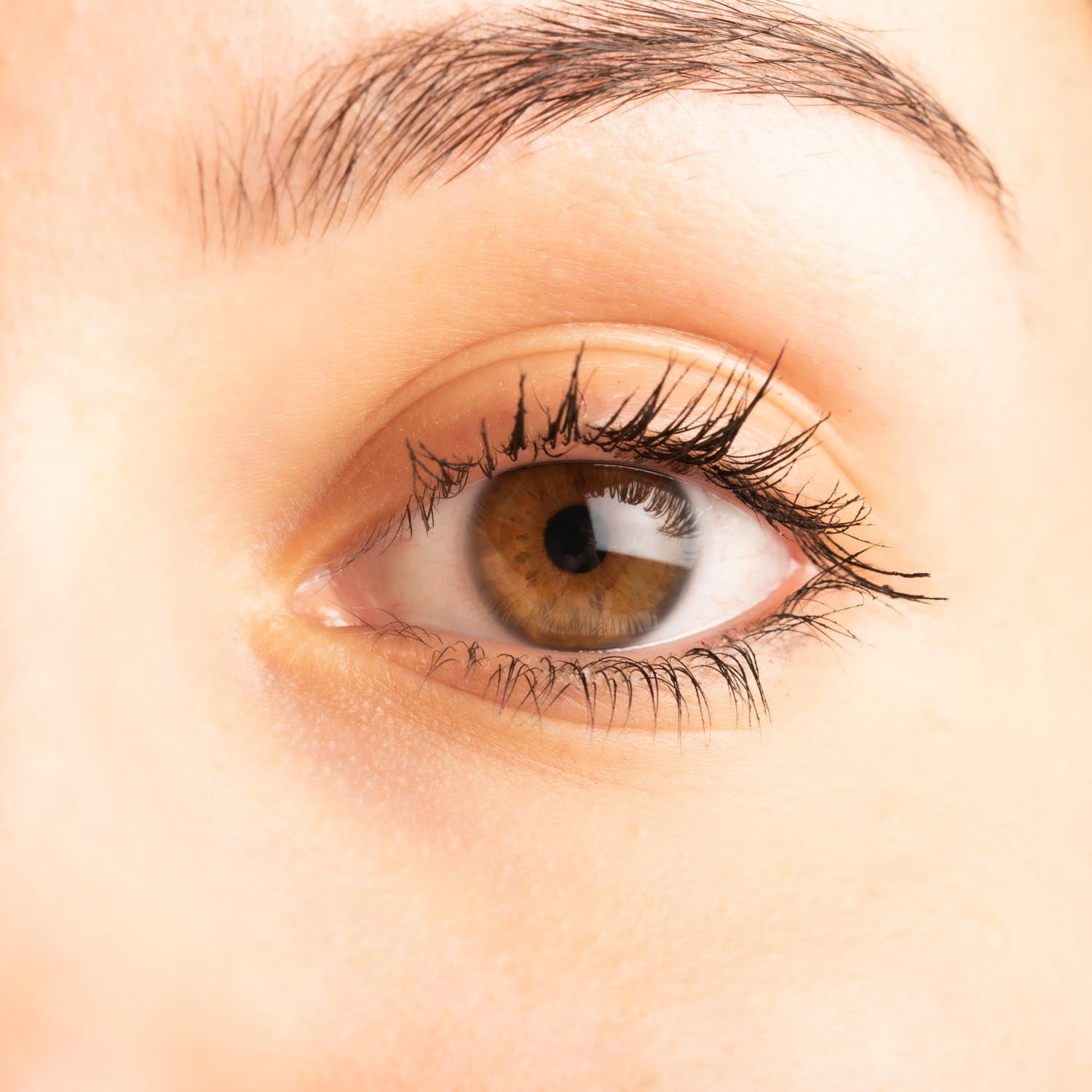 Refill Mascara 